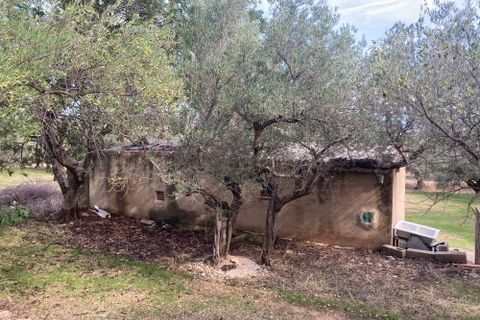 Landejendom i El Perello, Tarragona, El Perello - € 24.000 | Ref: Finca Pili Roqu - foto 10