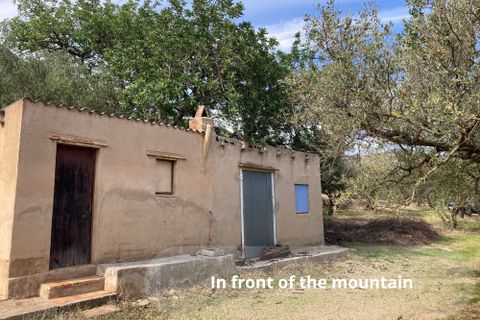 Landejendom i El Perello, Tarragona, El Perello - € 24.000 | Ref: Finca Pili Roqu - foto 9