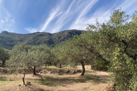 Landejendom i El Perello, Tarragona, El Perello - € 24.000 | Ref: Finca Pili Roqu - foto 7