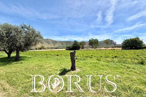 Terra a San Prisco, Caserta, San Prisco - € 340.000 | Ref: PD2 - foto 3