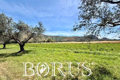 Terra a San Prisco, Caserta, San Prisco - € 340.000 | Ref: PD2 - foto 5