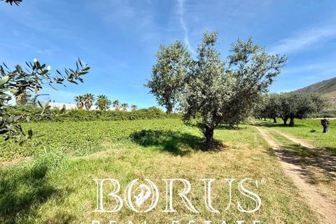 Terra a San Prisco, Caserta, San Prisco - € 340.000 | Ref: PD2 - foto 6