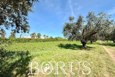 Terra a San Prisco, Caserta, San Prisco - € 340.000 | Ref: PD2 - foto 7