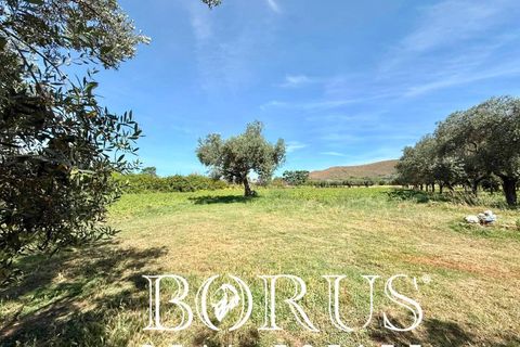 Terra a San Prisco, Caserta, San Prisco - € 340.000 | Ref: PD2 - foto 8