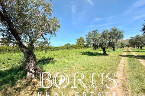 Terra a San Prisco, Caserta, San Prisco - € 340.000 | Ref: PD2 - foto 9