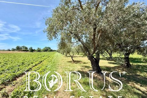 Terra a San Prisco, Caserta, San Prisco - € 340.000 | Ref: PD2 - foto 10