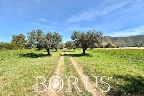 Terra a San Prisco, Caserta, San Prisco - € 340.000 | Ref: PD2 - foto 16