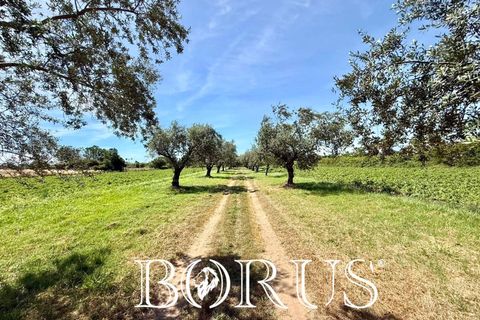 Terra a San Prisco, Caserta, San Prisco - € 340.000 | Ref: PD2 - foto 17