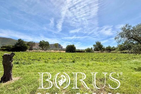 Terra a San Prisco, Caserta, San Prisco - € 340.000 | Ref: PD2 - foto 18