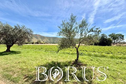 Terra a San Prisco, Caserta, San Prisco - € 340.000 | Ref: PD2 - foto 20
