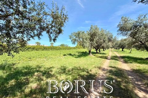 Terra a San Prisco, Caserta, San Prisco - € 340.000 | Ref: PD2 - foto 23