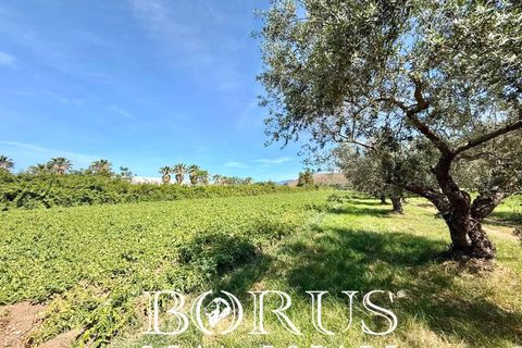 Terra a San Prisco, Caserta, San Prisco - € 340.000 | Ref: PD2 - foto 24