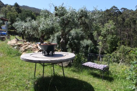 Farm i Caminha, Viana do Castelo, Caminha - € 850.000 | Ref: AMW002 - foto 3