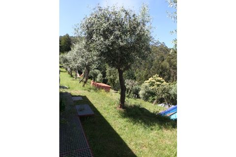 Farm i Caminha, Viana do Castelo, Caminha - € 850.000 | Ref: AMW002 - foto 6