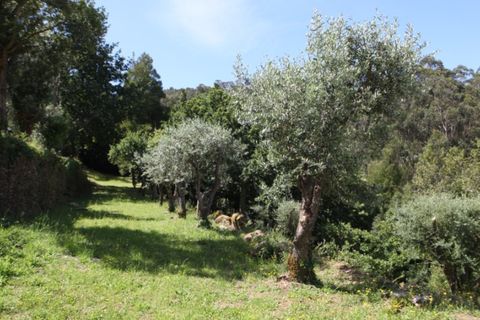 Farm i Caminha, Viana do Castelo, Caminha - € 850.000 | Ref: AMW002 - foto 23