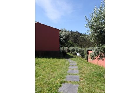 Farm i Caminha, Viana do Castelo, Caminha - € 850.000 | Ref: AMW002 - foto 24