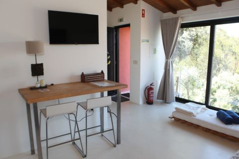 Farm i Caminha, Viana do Castelo, Caminha - € 850.000 | Ref: AMW002 - foto 29