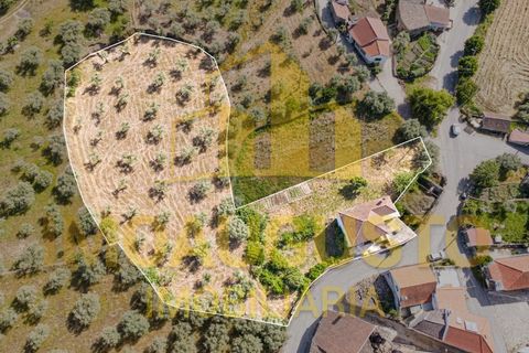 Villa a Valdujo, Guarda, Valdujo - € 129.500 | Ref: CAS_2468 - foto 2
