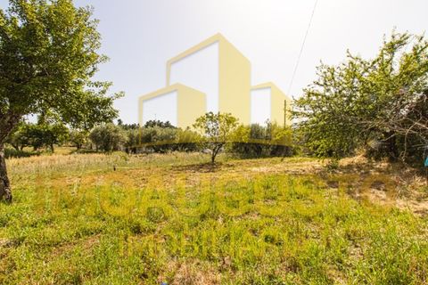Villa a Valdujo, Guarda, Valdujo - € 129.500 | Ref: CAS_2468 - foto 22
