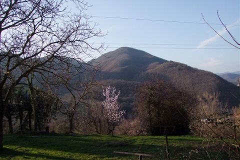 Landejendom i Rufina, Florence, Rufina - € 420.000 | Ref: a6273rc1269548a - foto 5