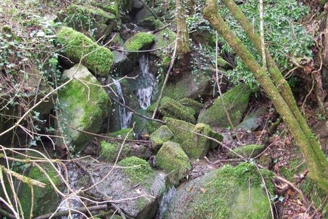 Landejendom i Rufina, Florence, Rufina - € 420.000 | Ref: a6273rc1269548a - foto 17