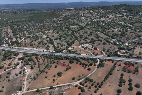 Helårsgrund i Algoz, Faro, Algoz - € 28.500 | Ref: C0384-00365 - foto 11