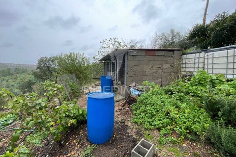 Farm hus i Abrantes, Santarem, Abrantes - € 60.000 | Ref: 056876 - foto 3