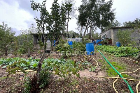 Farm hus i Abrantes, Santarem, Abrantes - € 60.000 | Ref: 056876 - foto 4