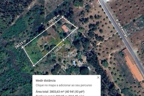 Farm hus i Abrantes, Santarem, Abrantes - € 60.000 | Ref: 056876 - foto 7