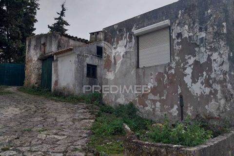 Byhus i Cadaval, Lisbon, Cadaval - € 120.000 | Ref: 060780 - foto 4