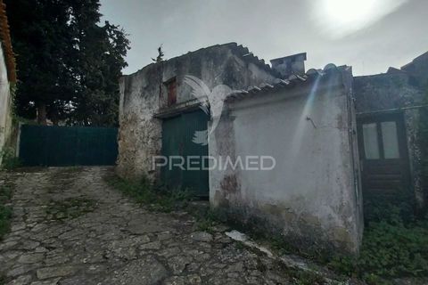 Byhus i Cadaval, Lisbon, Cadaval - € 120.000 | Ref: 060780 - foto 15