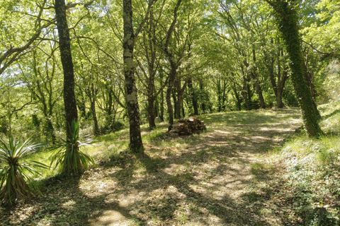 Villa i Montecastrilli, Terni, Montecastrilli - € 110.000 | Ref: VACCANO100 - foto 38