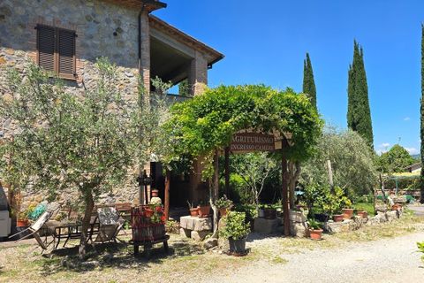 Erhvervsejendom i Baschi, Terni, Baschi - € 850.000 | Ref: Baschi23 - foto 6