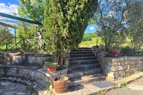 Erhvervsejendom i Baschi, Terni, Baschi - € 850.000 | Ref: Baschi23 - foto 49