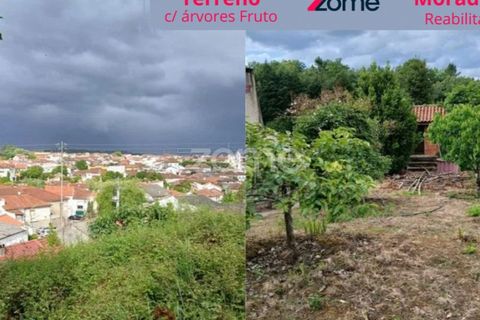 Villa i Anca, Coimbra, Anca - € 52.200 | Ref: ZMPT589915 - foto 1