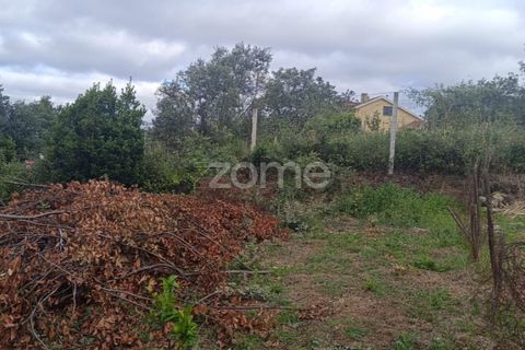 Villa i Anca, Coimbra, Anca - € 52.200 | Ref: ZMPT589915 - foto 9