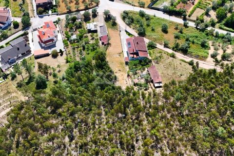 Helårsgrund i Coimbra, Coimbra, Coimbra - € 35.000 | Ref: ZMPT589876 - foto 11