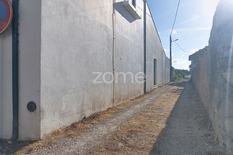 Villa i Cantanhede, Coimbra, Cantanhede - € 395.000 | Ref: ZMPT589857 - foto 9