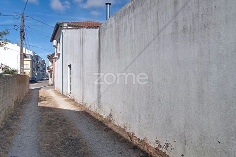 Villa i Cantanhede, Coimbra, Cantanhede - € 395.000 | Ref: ZMPT589857 - foto 46