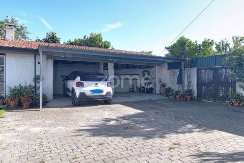 Villa i Cantanhede, Coimbra, Cantanhede - € 395.000 | Ref: ZMPT589857 - foto 47