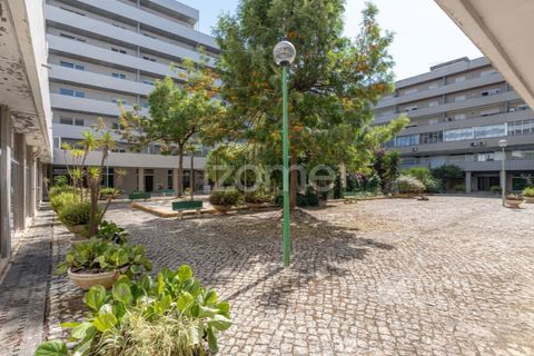 Lejlighed i Anadia, Aveiro, Anadia - € 155.000 | Ref: ZMPT589795 - foto 35