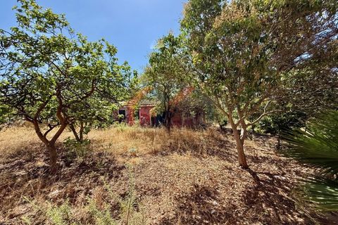 Helårsgrund i Quelfes, Faro, Quelfes - € 3.500.000 | Ref: 3201 - foto 13