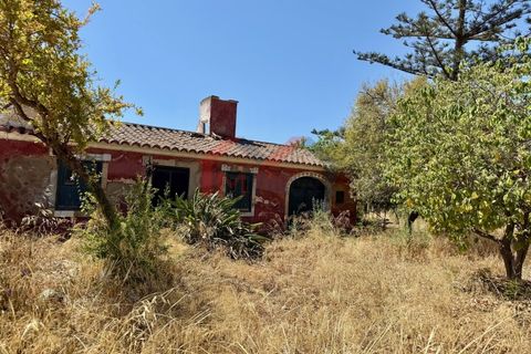 Helårsgrund i Quelfes, Faro, Quelfes - € 3.500.000 | Ref: 3201 - foto 14