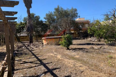 Helårsgrund i Quelfes, Faro, Quelfes - € 3.500.000 | Ref: 3201 - foto 46