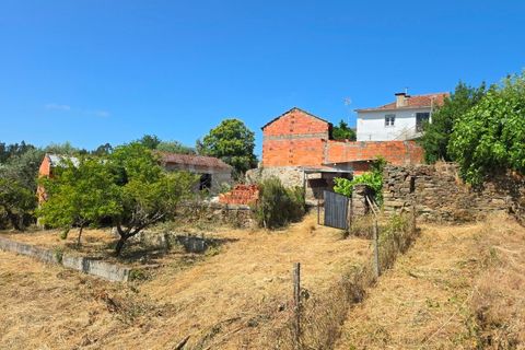 Farm i Tabua, Coimbra, Tabua - € 129.000 | Ref: RR99400 - foto 9