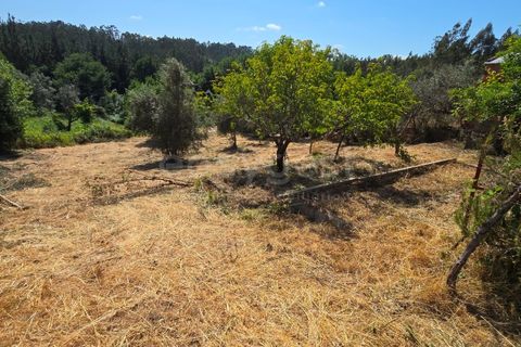 Farm i Tabua, Coimbra, Tabua - € 129.000 | Ref: RR99400 - foto 10