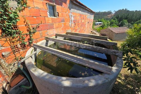Farm i Tabua, Coimbra, Tabua - € 129.000 | Ref: RR99400 - foto 11