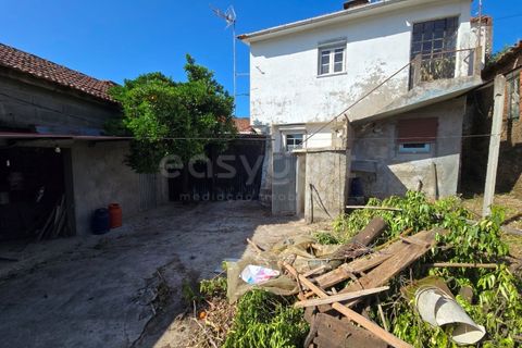 Farm i Tabua, Coimbra, Tabua - € 129.000 | Ref: RR99400 - foto 32