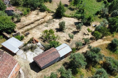 Farm i Tabua, Coimbra, Tabua - € 129.000 | Ref: RR99400 - foto 38