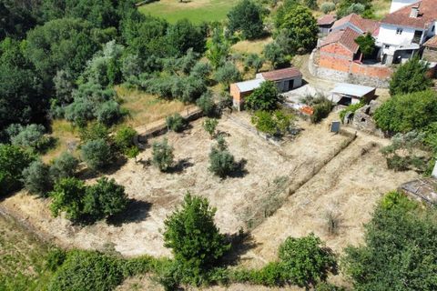 Farm i Tabua, Coimbra, Tabua - € 129.000 | Ref: RR99400 - foto 40